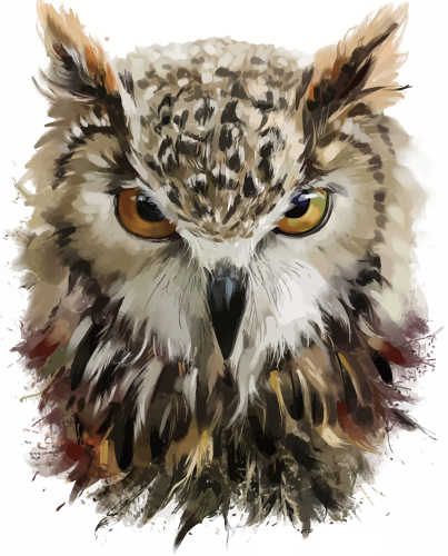 owl head illustration